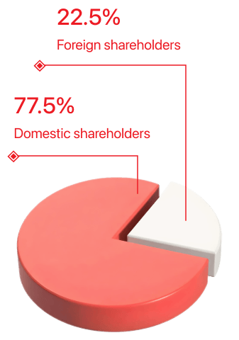 Domestic and foreign shareholders