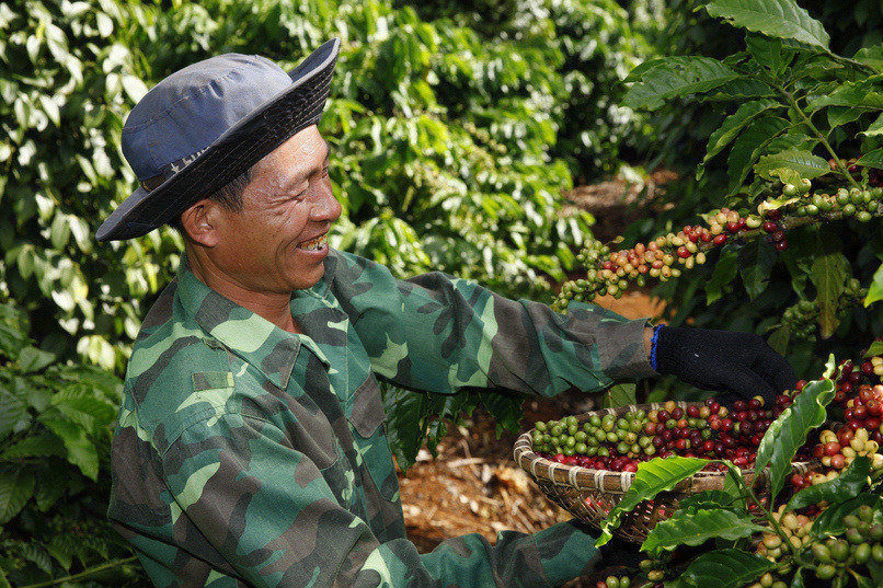 Kết hợp thông tin thị trường với hiệu suất danh mục và mục tiêu tài chính giúp nhà đầu tư có góc nhìn cân bằng hơn khi theo dõi giá cà phê quốc tế