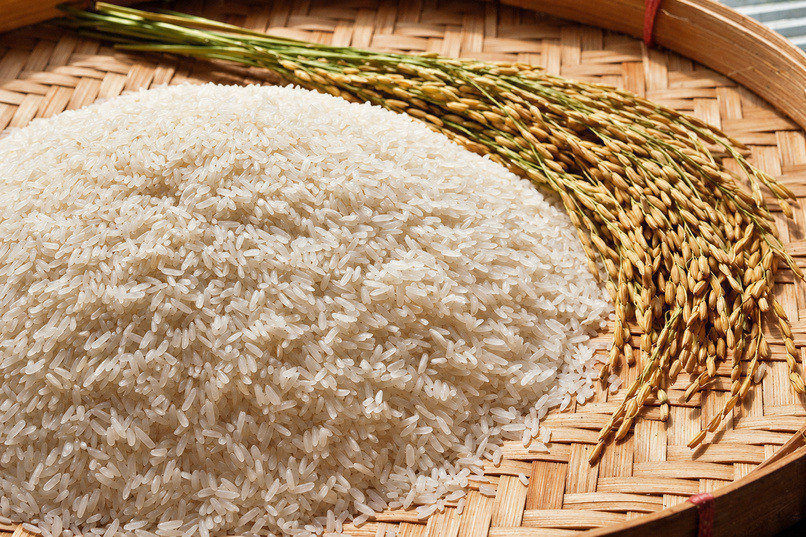 Giá lúa gạo chịu ảnh hưởng từ sản lượng thu hoạch, mùa vụ, nhu cầu tiêu thụ, chi phí sản xuất và chính sách thương mại quốc tế. 

