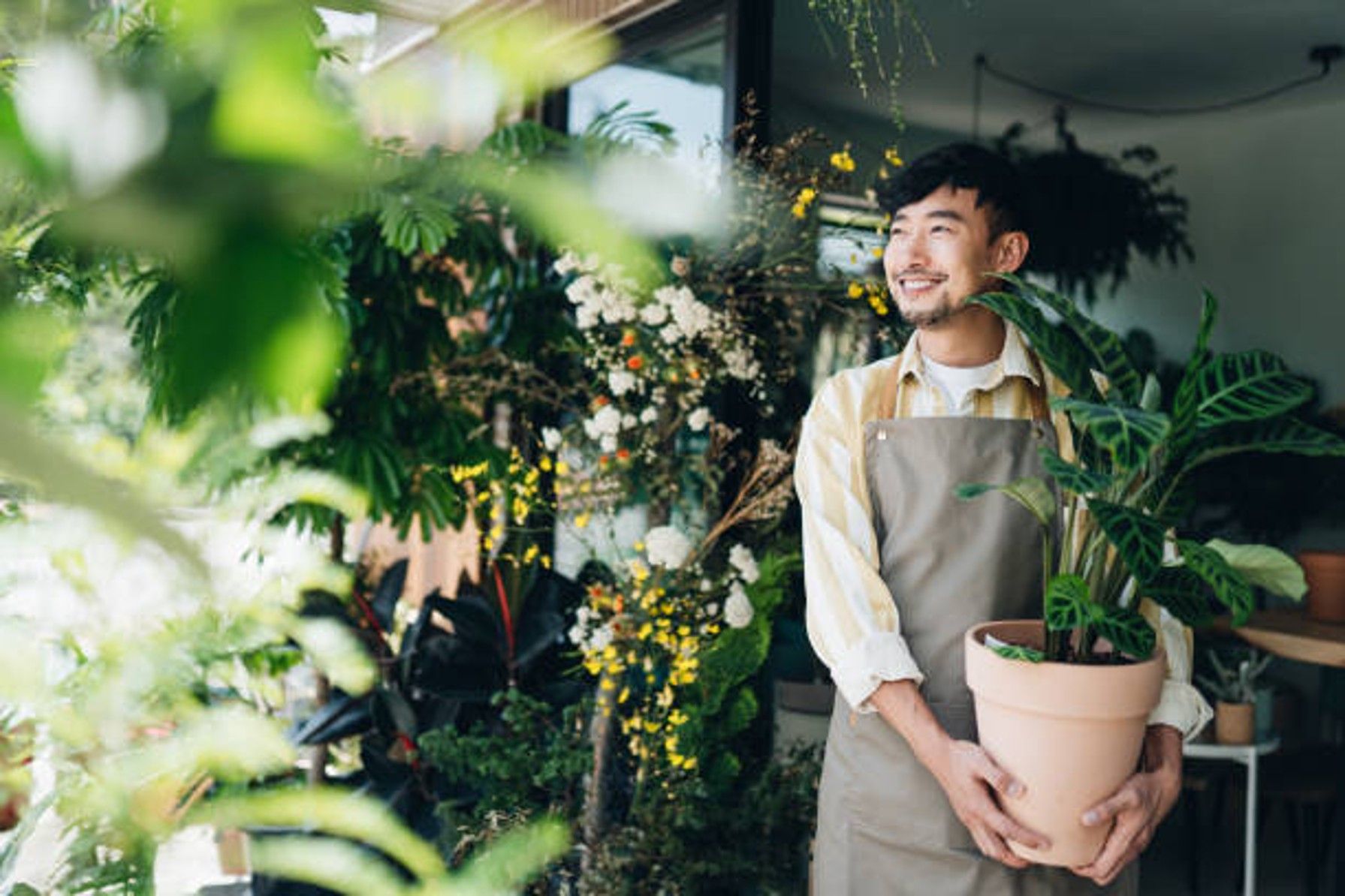 Chọn đúng loại hình doanh nghiệp ngay từ đầu sẽ giúp tối ưu hóa cách thức quản lý