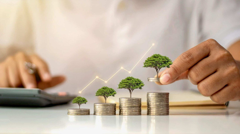 Tổ chức, hộ gia đình, cá nhân sản xuất hoặc nhập khẩu hàng hóa thuộc đối tượng chịu thuế có trách nhiệm thực hiện nghĩa vụ thuế theo quy định.