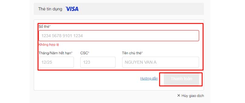 Điền thông tin thẻ Visa để hoàn tất thanh toán