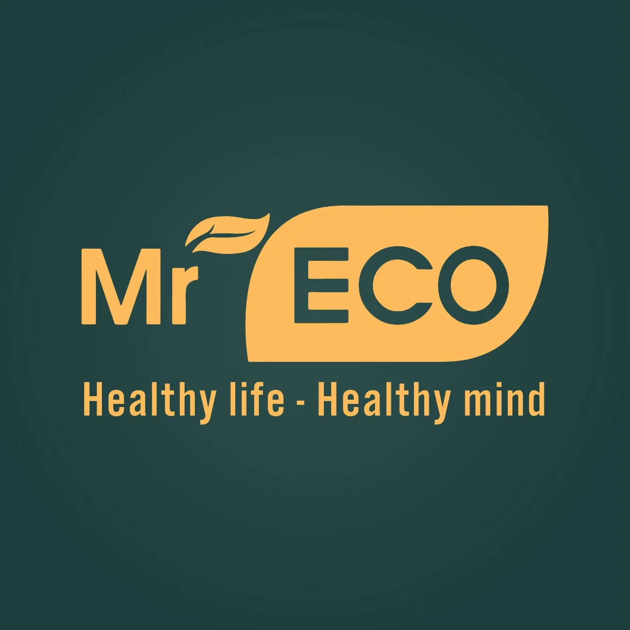 logo Mr Eco