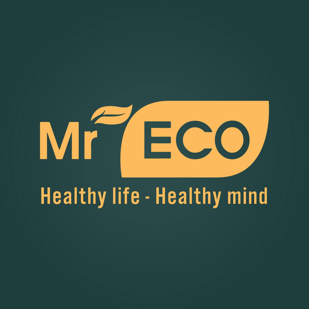 logo Mr Eco