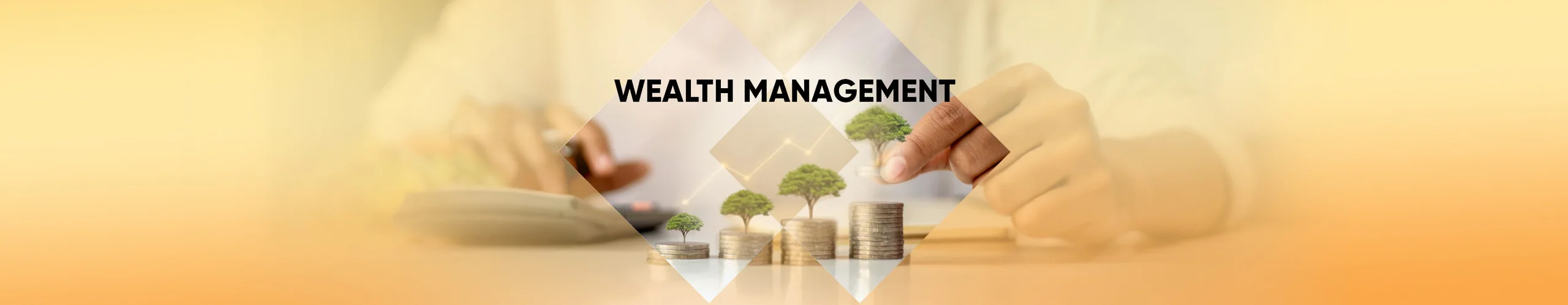 Wealth Management