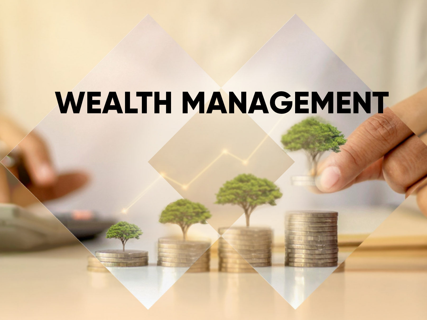 Wealth Management